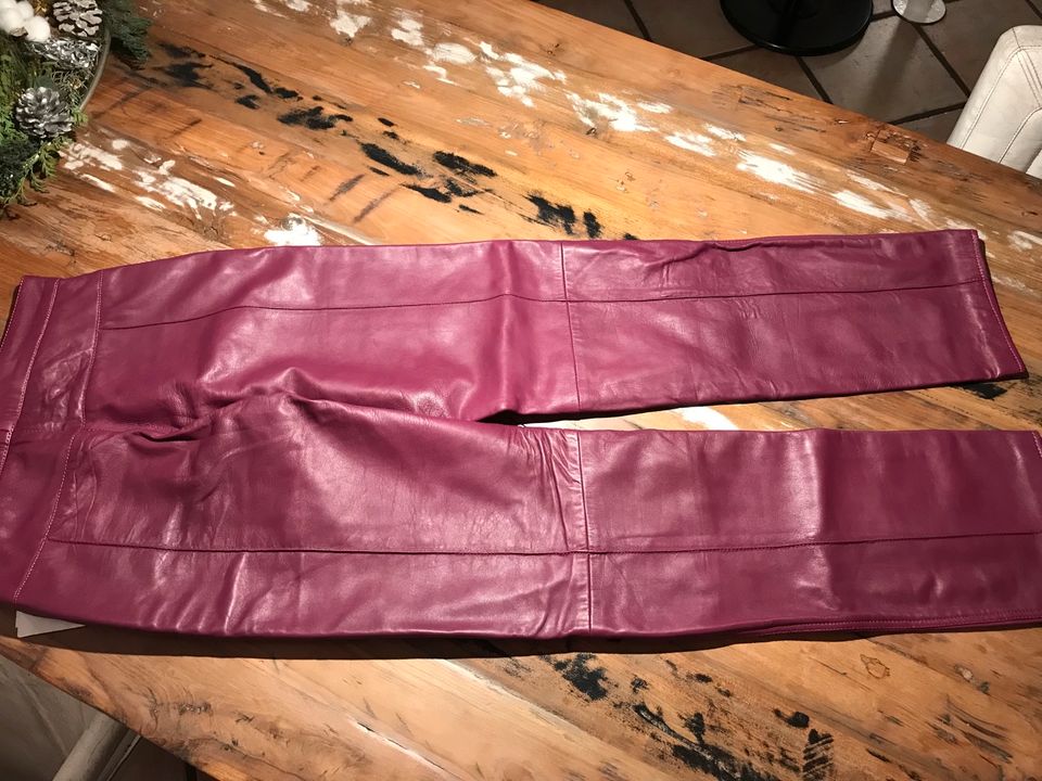 Neue Lederhose Hosbjerg everlyn pant Gr. S burgundfarben in Essen-Margarethenhöhe