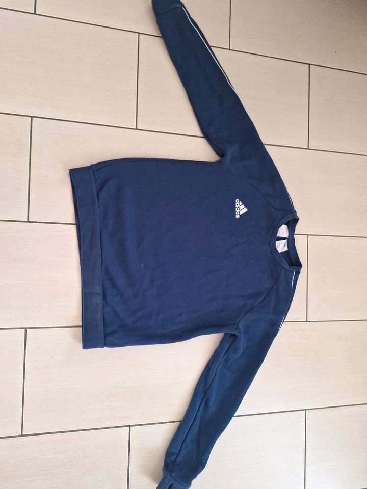 Adidas Trainings Sweatshirt Gr. 164 in blau in Herne