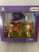 Schleich Horse Club Set 42361 Fohlen mit Decke OVP Niedersachsen - Rodenberg Vorschau