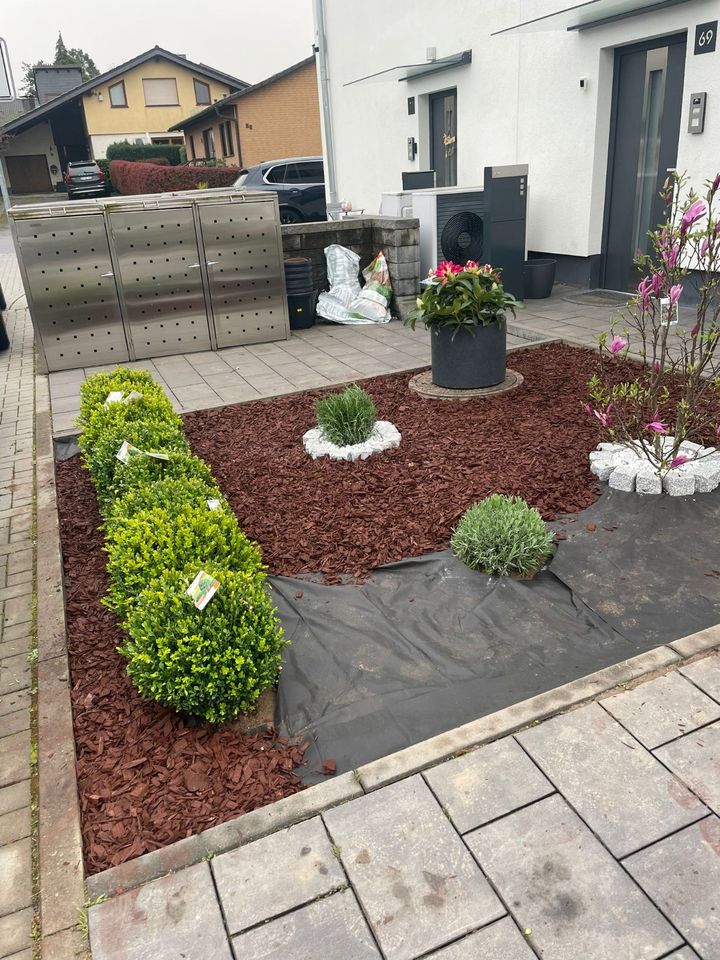 Gartenpflege :Gartengestaltung zu fairen preis in Dreieich