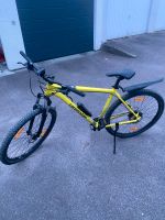 Cannondale BULLS CUBE SCOTT Mtb Mountainbike 29 Zoll Baden-Württemberg - Ludwigsburg Vorschau