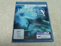 Dolphins in the deep blue ocean in 3D / Blu Ray DVD Bayern - Icking Vorschau