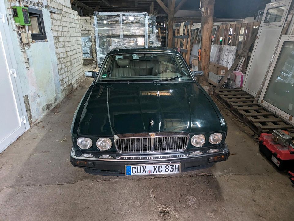 Jaguar XJ40, XJ,81 12v 6.0l in Geestland