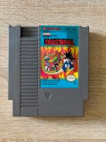 Dragonball NES Nintendo Entertainment System PAL-B Hessen - Heppenheim (Bergstraße) Vorschau