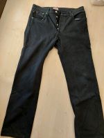 Levis Levi's  Strauss Herren Jeans schwarz W34 L32 Hessen - Bad Homburg Vorschau