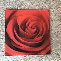 Glasbild,rote Rose ,Rosenblüte Hessen - Vellmar Vorschau