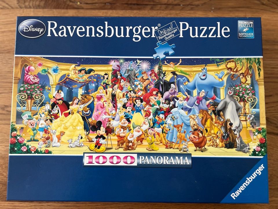 1000 Teile Puzzle Disney Panorama in Blieskastel