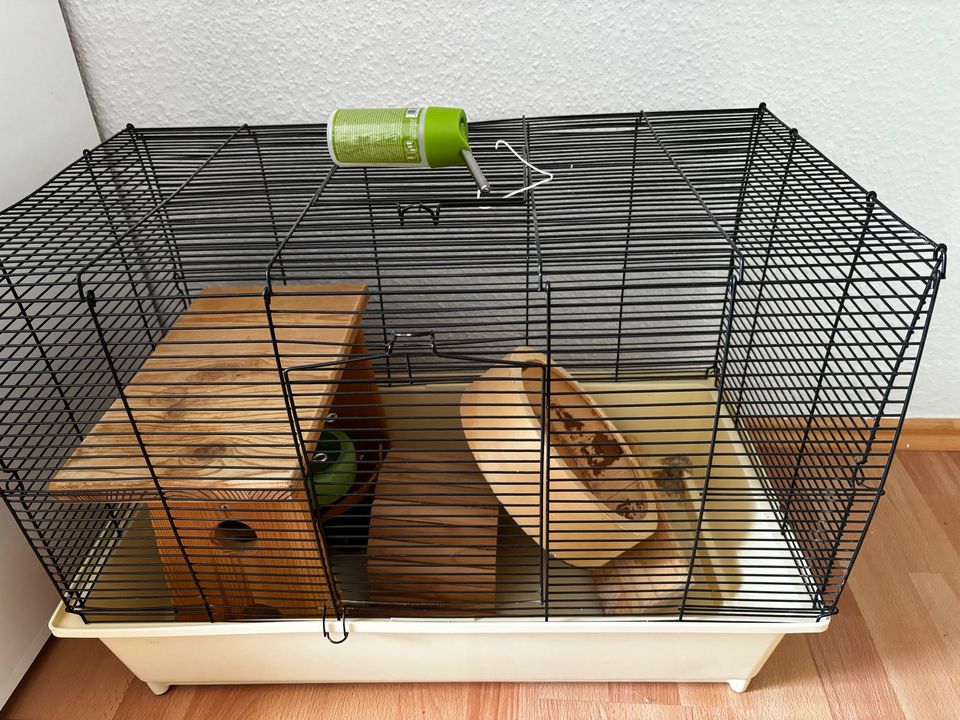 Hamster käffig in Hirzenhain
