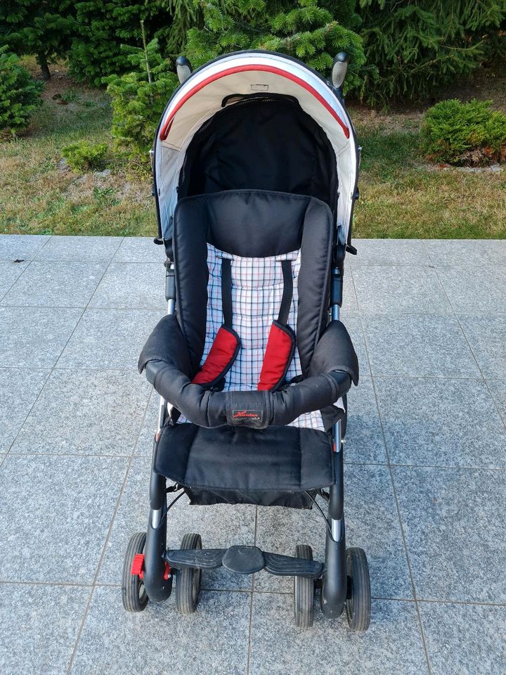 Harten Buggy in Pulsnitz