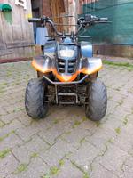 Quad 110ccm Hessen - Sinntal Vorschau