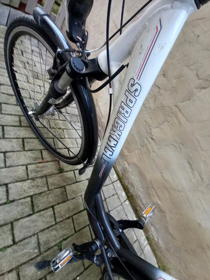 Damen Fahrrad, SPRICK CYCLE "/28 Zoll/7Gänge in Nebra (Unstrut)