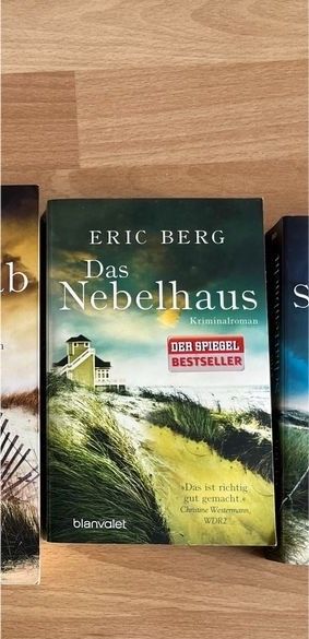 Eric Berg - das Nebelhaus in Weingarten