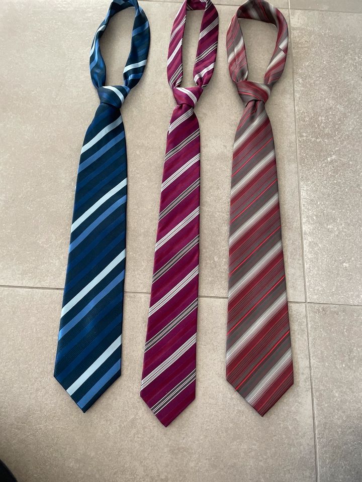 Neuwertige Krawatten in Berkenthin