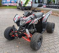 AEON COBRA 424 SM EFI Euro5 Bayern - Rain Niederbay Vorschau