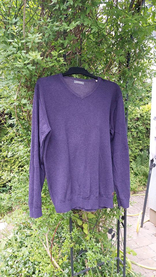 Pierre Cardin Herren-Pulli Gr M, BW,  lila dunkel in Schweinfurt