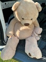 Großen Teddy Bär abzugeben Dithmarschen - Eddelak Vorschau