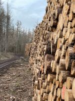 10% JETZT für den kommenden Winter!!! Fichte Stammholz, Rundholz, Kaminholz, Brennholz, Bitte nur telefonische Kontaktaufnahme Sachsen-Anhalt - Ilsenburg (Harz) Vorschau