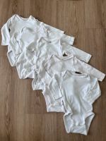 Bodies Body 6x von H&M Bad Doberan - Landkreis - Kritzmow Vorschau