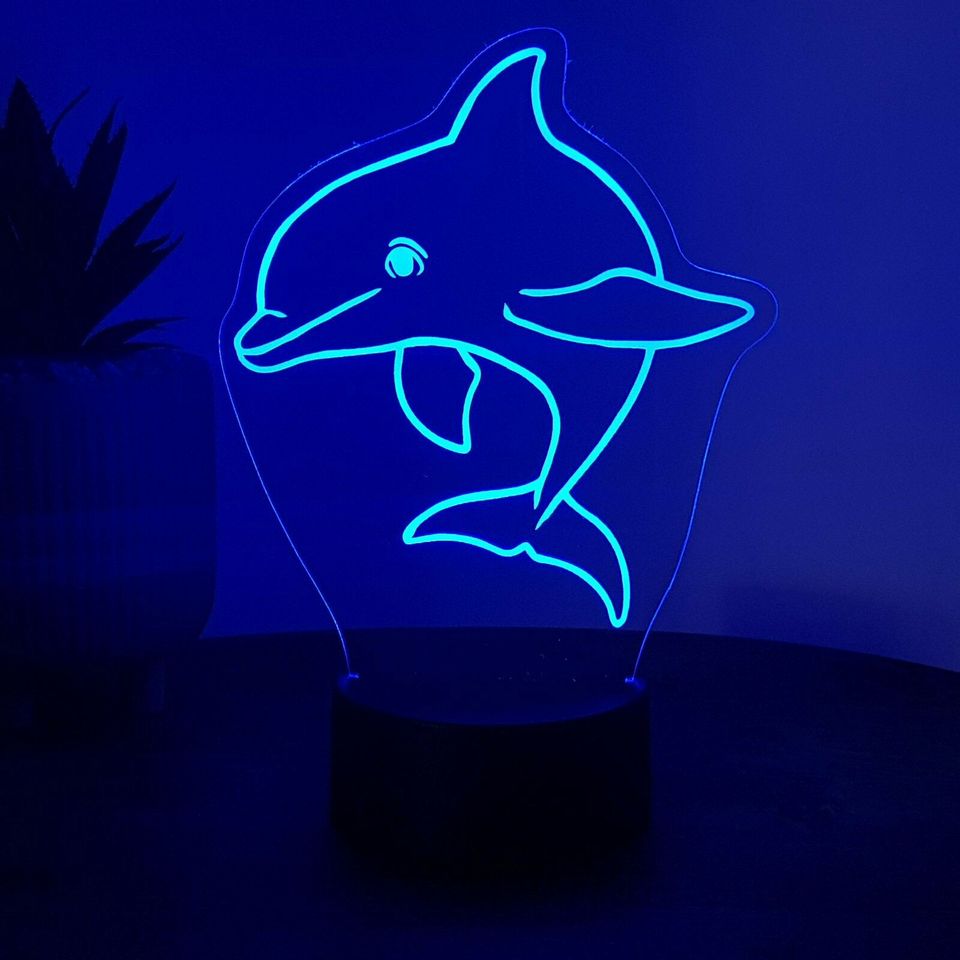 LED Lampe Delfin (auch mit Wunschnamen) in Schülp bei Rendsburg