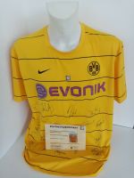 BVB Trikot 2008/2009 Teamsigniert Borussia Dortmund COA Nike XXL Nordrhein-Westfalen - Lünen Vorschau