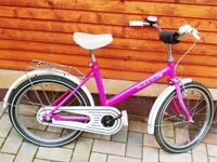 18er Kinderfahrrad neue Schwalbe Reifen Sachsen - Wülknitz Vorschau