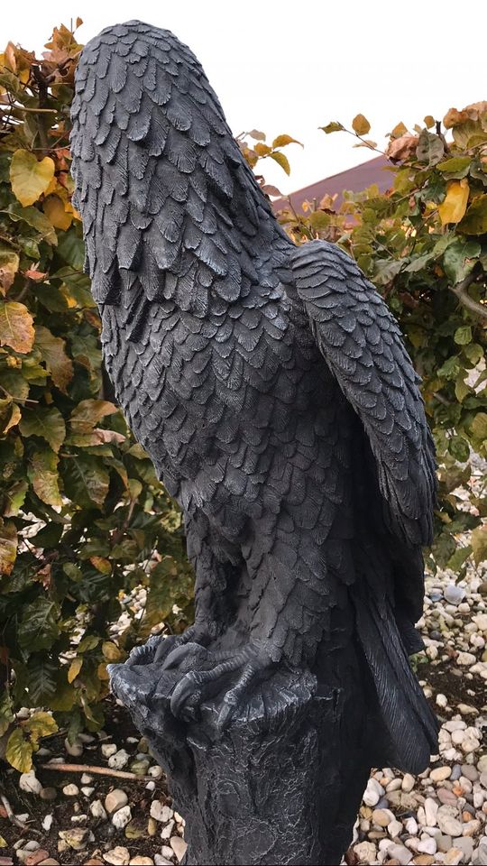 ‼️Adler 100kg 106cm Steinadler Seeadler Greifvogel Eagle Harley‼️ in Kleve