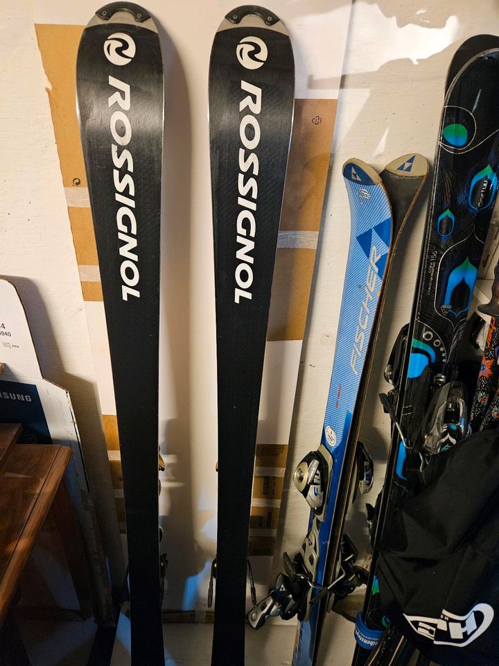 Ski Rossignol 156 cm in Neusäß