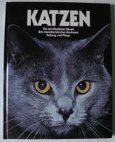 Katzen, Die verschiedenen Rassen, Ihre charakteristischen Merkmal Rheinland-Pfalz - Neustadt an der Weinstraße Vorschau