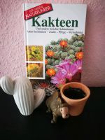 Kaktus Kakteen Buch Blumentopf mit Kamel Deko Leipzig - Grünau-Ost Vorschau