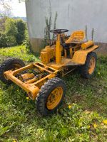 2 Dumper 4x4 Baden-Württemberg - Laufenburg (Baden) Vorschau