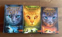 Warrior Cats Hardcover Bücher Bayern - Hausham Vorschau