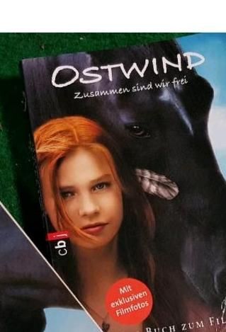 Ostwind - alle 3 Pferdebücher 10€ Jugendbuch Kinderbuch Pferde in Freital