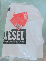 T-Shirt Diesel Größe S Nordrhein-Westfalen - Essen-Haarzopf Vorschau