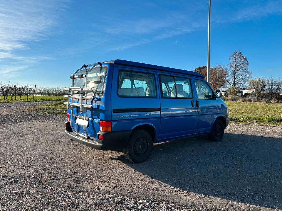 VW T4 California in Mainz