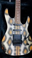 HOHNER Professional ST VIPER Power Strat mit Floyd Rose Hannover - Linden-Limmer Vorschau