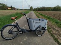 Tolles Babboe Curve Mountain Lastenrad grau elektrisch Nordrhein-Westfalen - Horstmar Vorschau