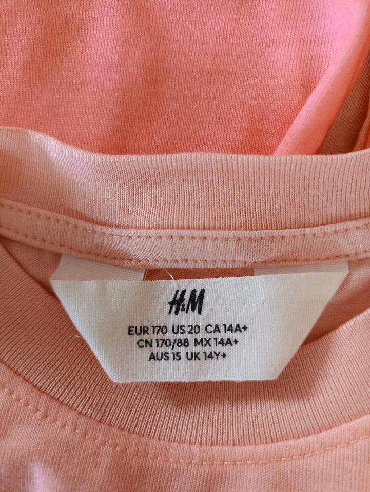 H&M T-Shirt  gr 170  NEU in Hagen im Bremischen