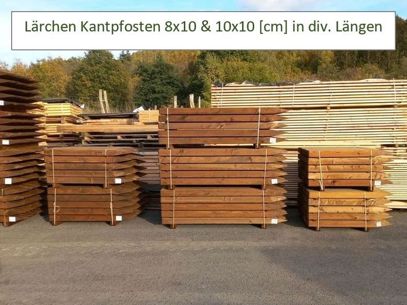 Lärchen Kantpfosten, Weidezaun, Koppelzaun, Holzpfahl, Pfahl in Finnentrop