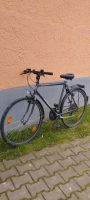 Fahrrad gebraucht 28 Zoll Bayern - Dillingen (Donau) Vorschau