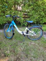 Boomer Fahrrad Giulia 24 Zoll Tiefeinsteiger 3 Gänge Rheinland-Pfalz - Frankenthal (Pfalz) Vorschau