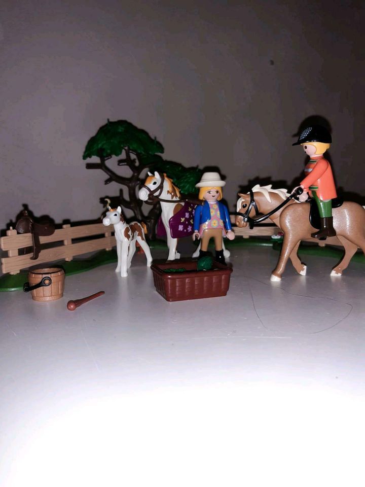 Playmobil Pferde in Bremen