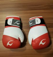 Boxhandschuhe zu verkaufen Pankow - Weissensee Vorschau