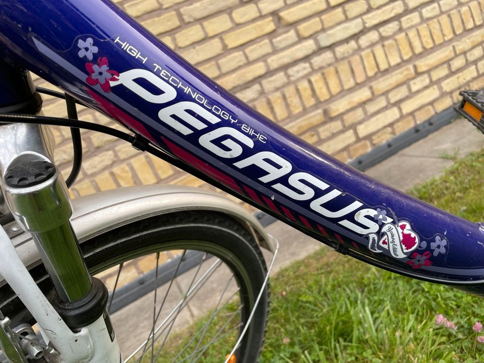 Pegasus Avanti Mädchen Fahrrad 26er Größe, lila in Potsdam