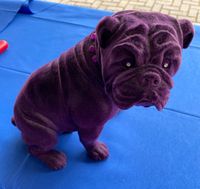 Hundefigur lila Dekoration - Mops Boxer Herzogtum Lauenburg - Schwarzenbek Vorschau