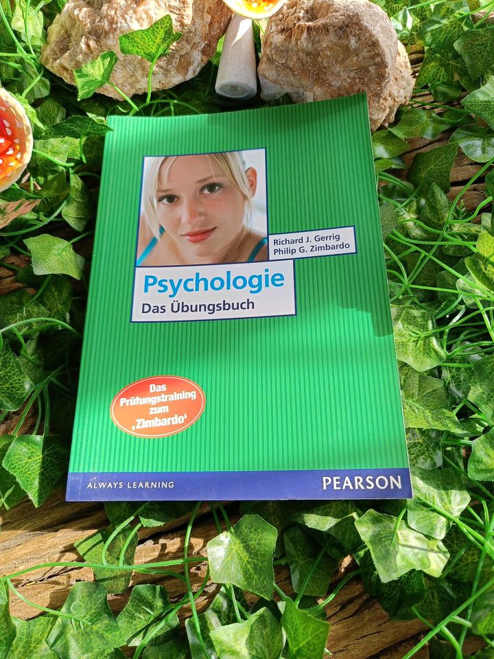 Psychologie das Übungsbuch Richard J. Gerrig in Hamburg