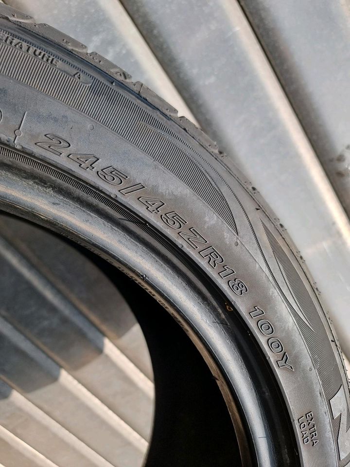 2x Sommerreifen 245/45R18 100Y nexen in Detmold