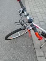 Fahrrad Damen Bayern - Landshut Vorschau