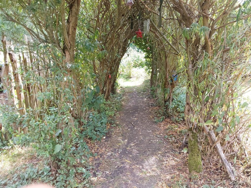 Haus großes Grundstück Wald Quelle Gewerbe Garten fast Alleinlage in Sonneberg