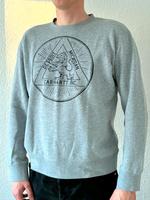 Carhartt Sweatshirt grau Größe XL Friedrichshain-Kreuzberg - Friedrichshain Vorschau