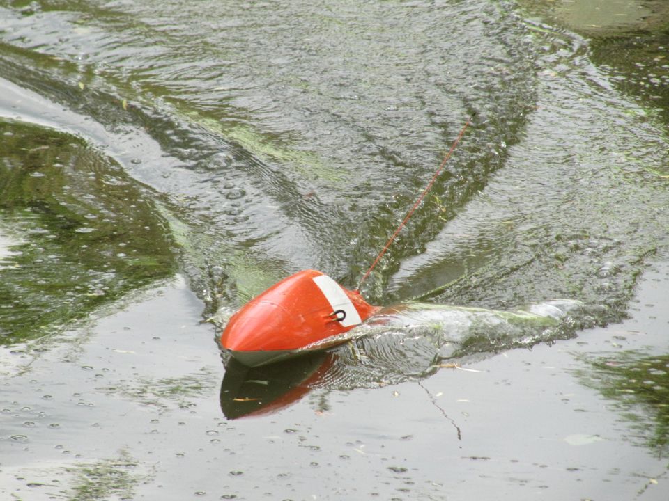 RC Rennboot Kohlefaser in Ingelheim am Rhein